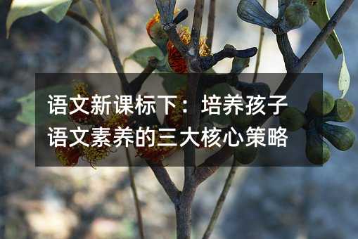 �Z�����n���£����B�����Z�����B��������Ĳ���