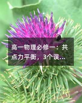 һһc(din)ƽ⣬3(g)`^(q)׌ʧ֣@ӌW(xu)붮