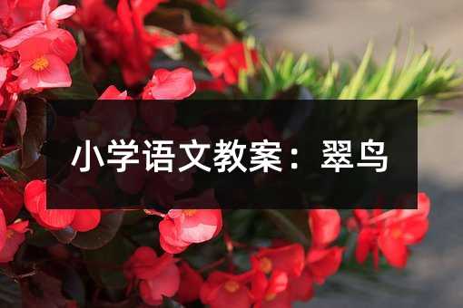 С�W�Z�Ľ̰������B