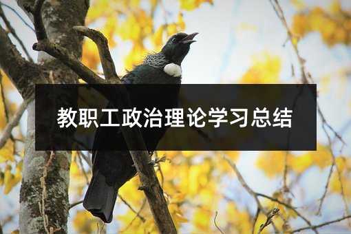 ����������Փ�W(xu��)��(x��)���Y(ji��)