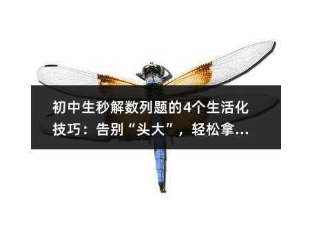 ��������┵���}��4��������ɣ���e���^�󡱣��p���ø߷�