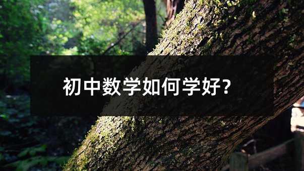 初中數學如何學好?