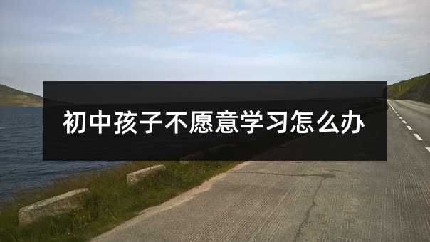 初中孩子不愿意學(xué)習(xí)怎么辦