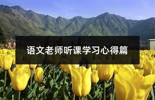 語文老師聽課學習心得篇