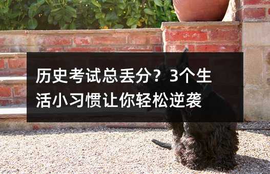 歷史考試總丟分?3個生活小習慣讓你輕松逆襲