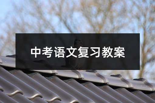 中考語文復習教案