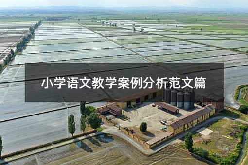 小學語文教學案例分析范文篇