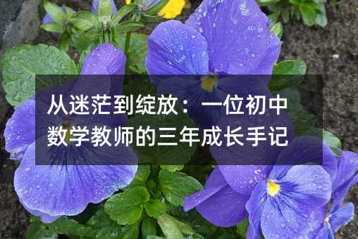 從迷茫到綻放:一位初中數學教師的三年成長手記