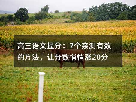 高三語文提分:7個親測有效的方法,讓分數悄悄漲20分
