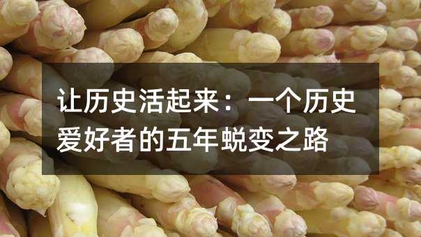 讓歷史活起來:一個歷史愛好者的五年蛻變之路