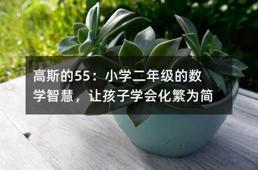 高斯的55:小學二年級的數學智慧,讓孩子學會化繁為簡
