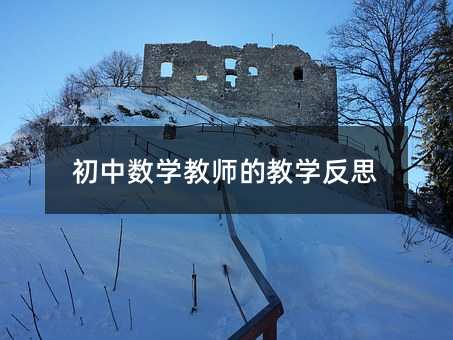 ���Д�(sh��)�W(xu��)�̎��Ľ̌W(xu��)��˼