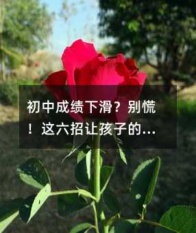 初中成績(jī)下滑?別慌!這六招讓孩子的學(xué)習(xí)重回正軌