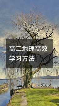 �߶�������Ч�W������