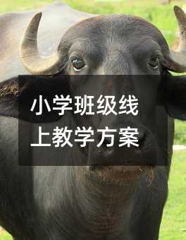 小學班級線上教學方案