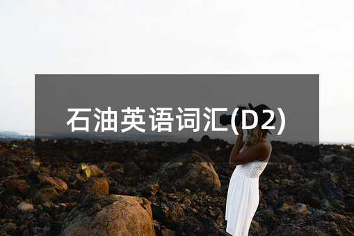 石油英語詞匯(D2)