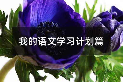 我的語文學(xué)習(xí)計劃篇