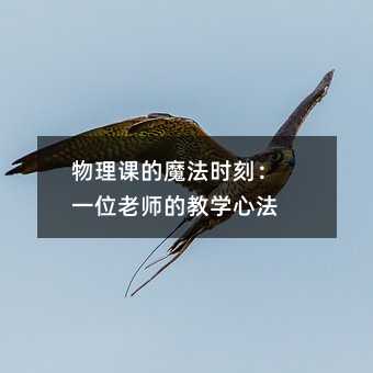 物理課的魔法時刻:一位老師的教學心法