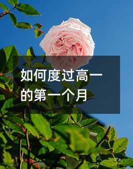 如何度過(guò)高一的第一個(gè)月
