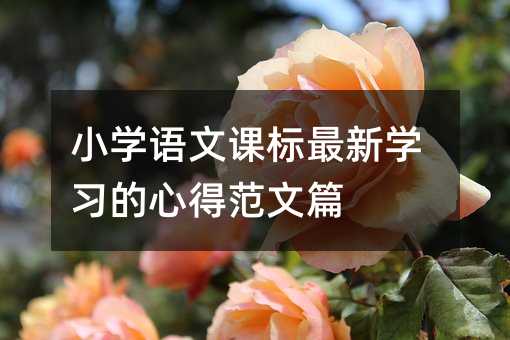 С�W(xu��)�Z(y��)���n��(bi��o)���W(xu��)��(x��)���ĵ÷���ƪ