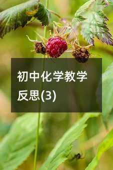 ���л��W(xu��)�̌W(xu��)��˼(3)