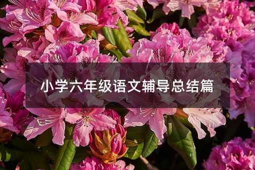 С�W���꼉�Z���o�����Yƪ