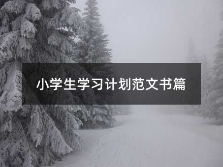 小學生學習計劃范文書篇