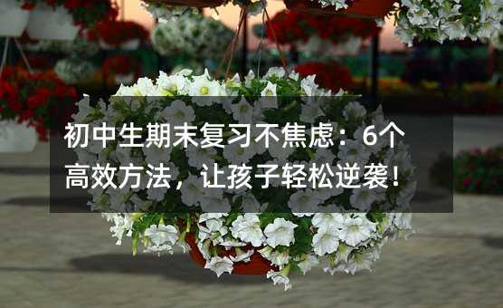 ��������ĩ��(f��)��(x��)�����]��6��(g��)��Ч������׌�����p�����u��