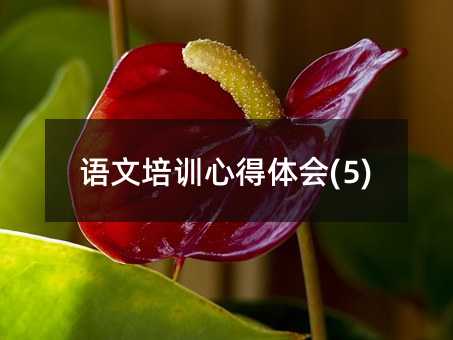 �Z����Ӗ�ĵ��w��(5)