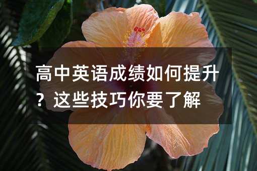 ����Ӣ�Z�ɿ�����������@Щ������Ҫ�˽�