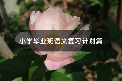 С�W���I���Z�ď���Ӌ��ƪ