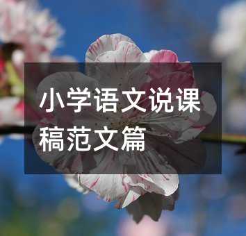 С�W(xu��)�Z���f�n�巶��ƪ