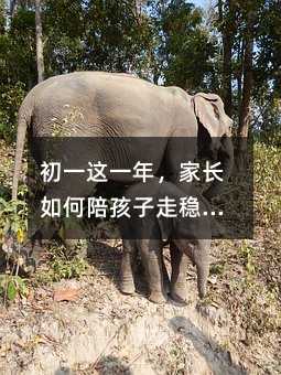 ��һ�@һ�꣬���L����㺢���߷�(w��n)���L��һ��