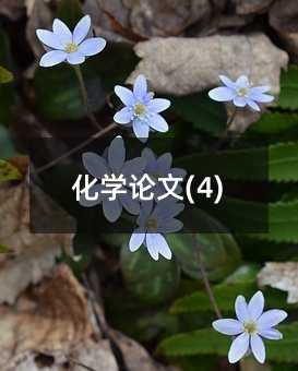 ���WՓ��(4)