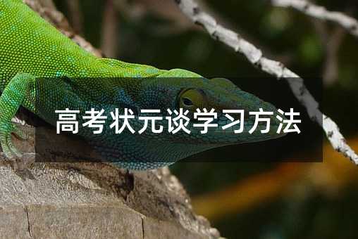 高考狀元談學(xué)習(xí)方法
