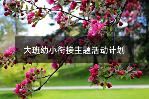 大班幼小銜接主題活動計劃