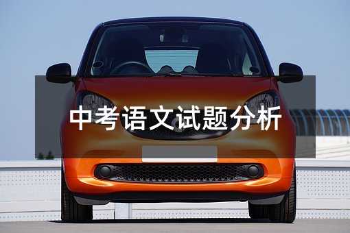 中考語文試題分析