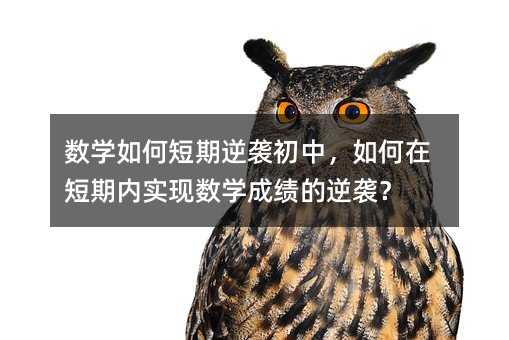 ��(sh��)�W(xu��)��ζ������u����������ڶ��ڃ�(n��i)���F(xi��n)��(sh��)�W(xu��)�ɿ������u��