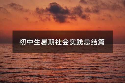初中生暑期社會(huì)實(shí)踐總結(jié)篇