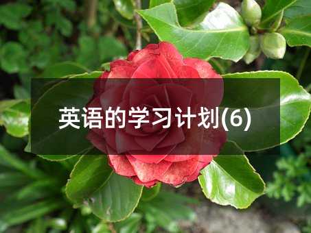 Ӣ�Z�ČW��Ӌ��(6)