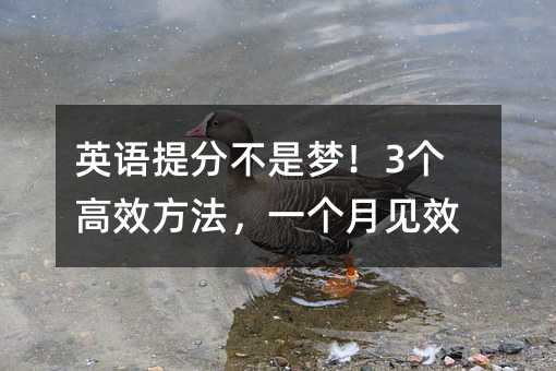英語提分不是夢!3個高效方法,一個月見效