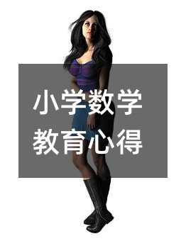 小學(xué)數(shù)學(xué)教育心得