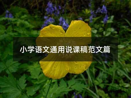 小學(xué)語文通用說課稿范文篇