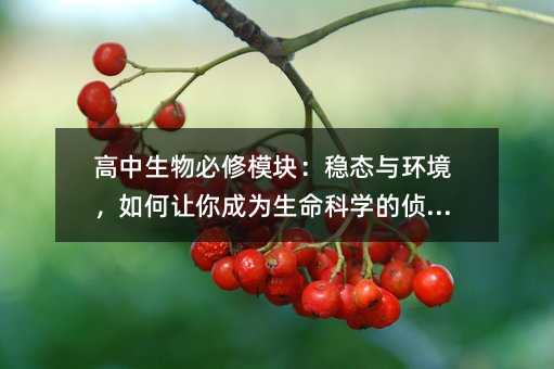 �����������ģ�K�����B�c�h�������׌��ɞ������ƌW�Ă�̽��