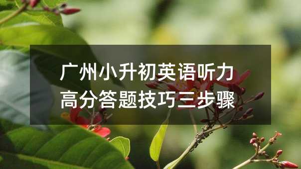 �V��С����Ӣ�Z ���߷ִ��}���������E