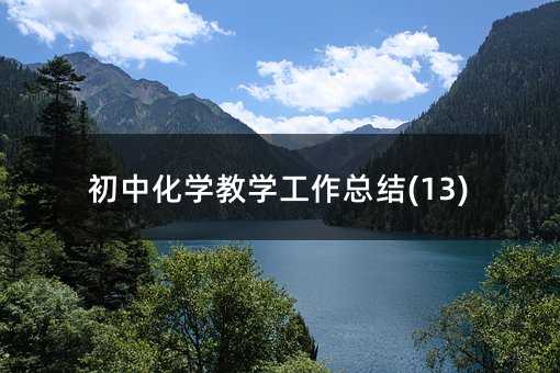 初中化學(xué)教學(xué)工作總結(jié)(13)