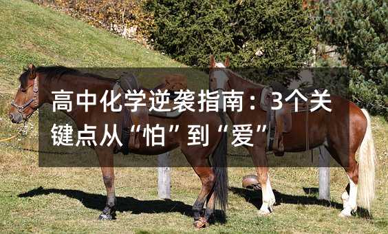 ���л��W(xu��)���uָ�ϣ�3��(g��)�P(gu��n)�I�c(di��n)�ġ��¡������ۡ�