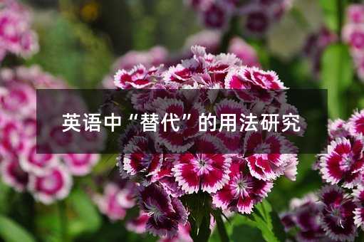 Ӣ�Z(y��)�С���������÷��о�