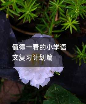 ֵ��һ����С�W(xu��)�Z�ď�(f��)��(x��)Ӌ��ƪ