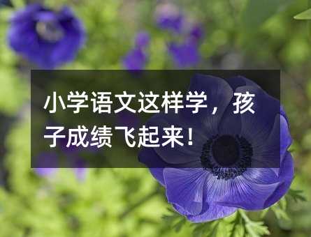 С�W�Z���@�ӌW�����ӳɿ��w������